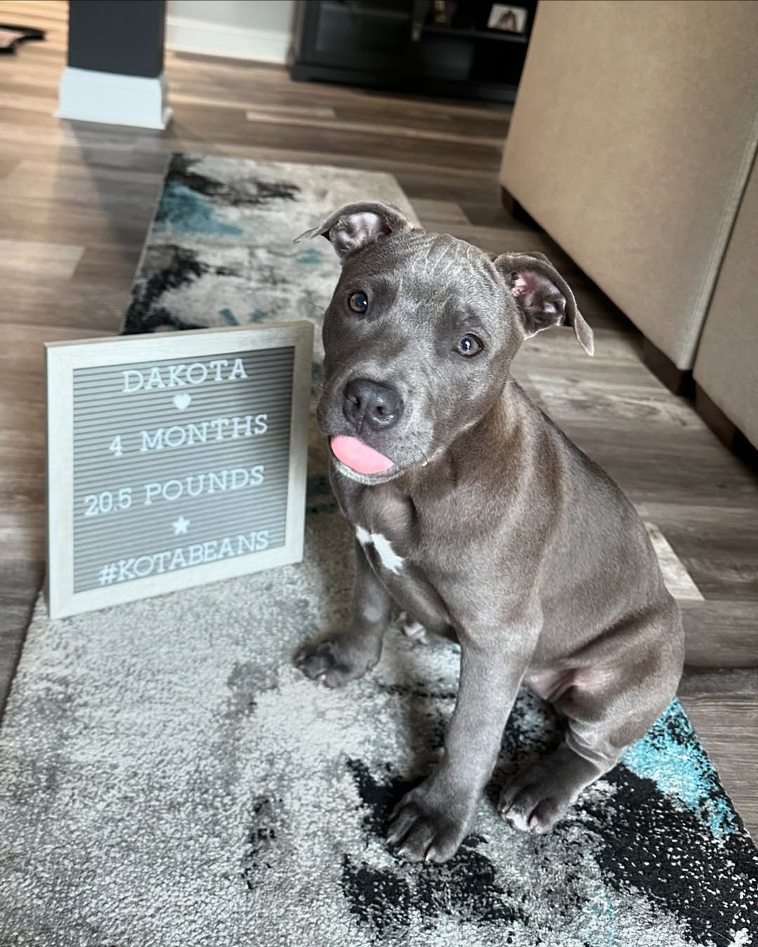 Simba