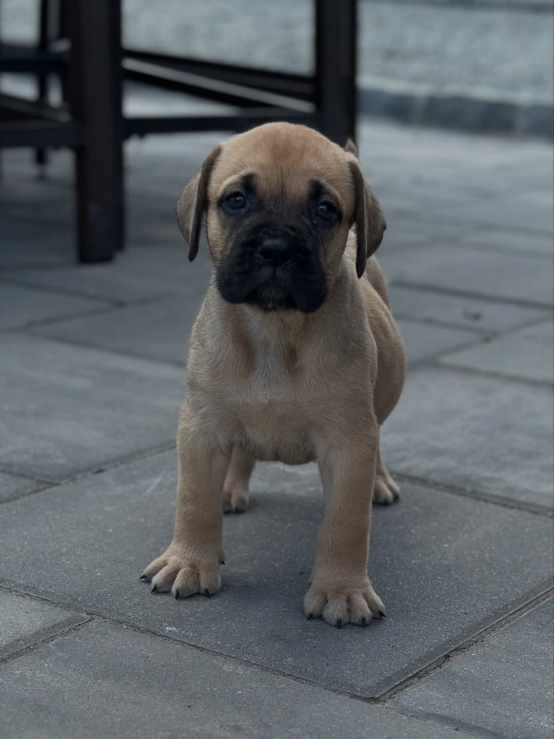 Beno