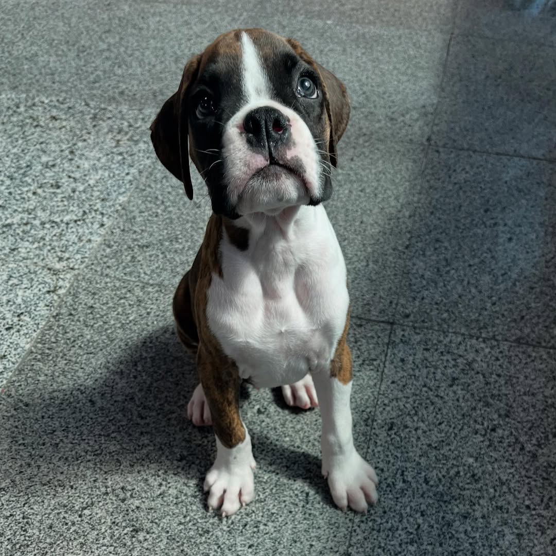 Mia