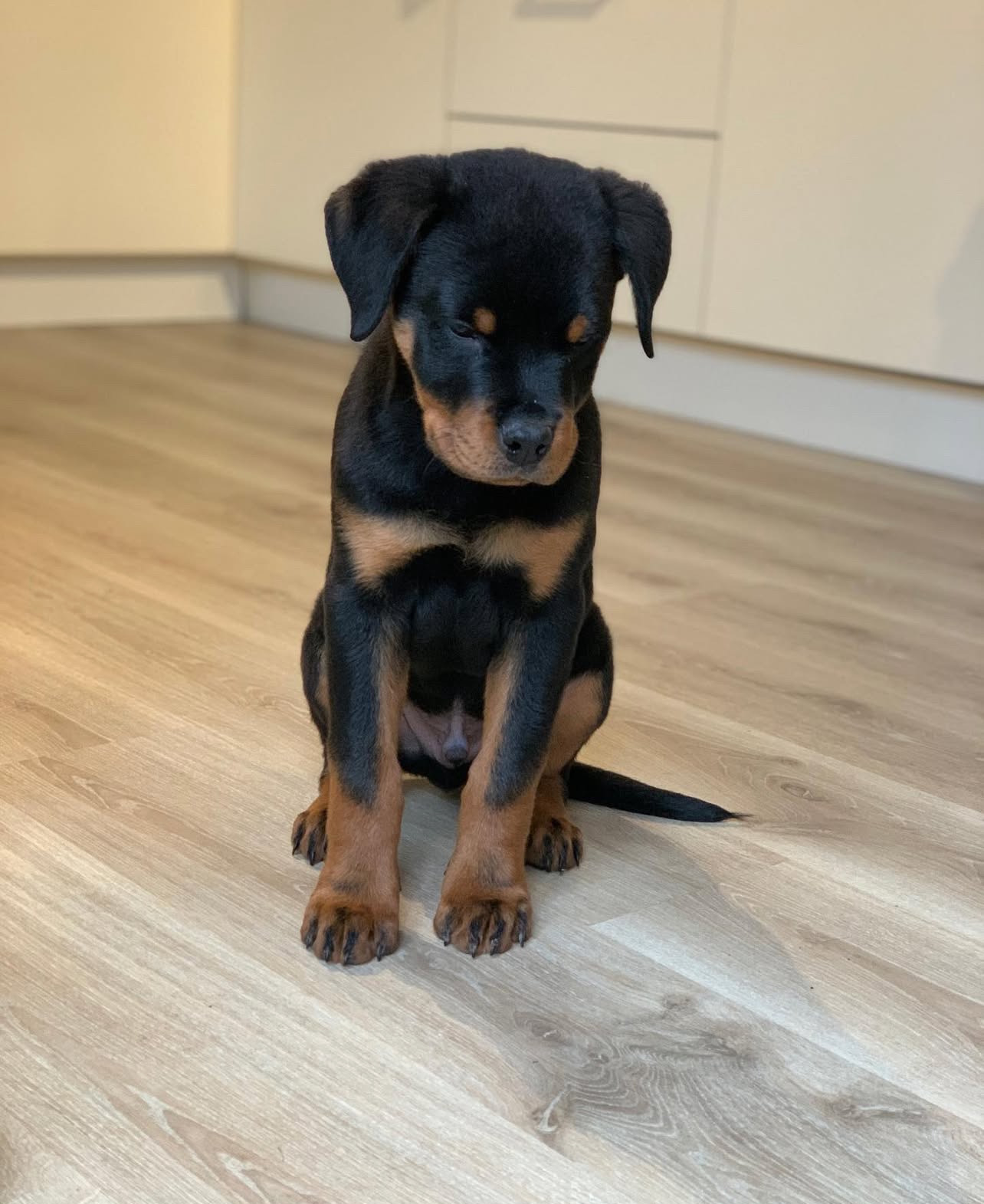 Tino
